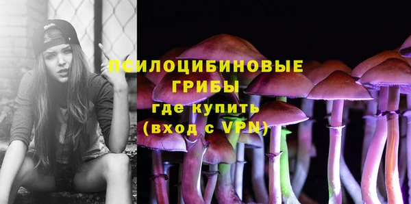 винт Алзамай