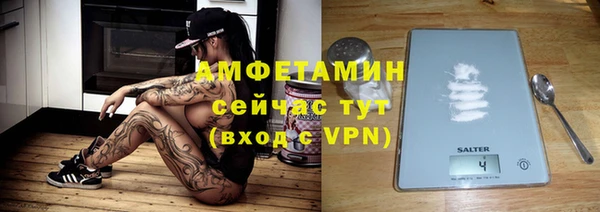 винт Алзамай