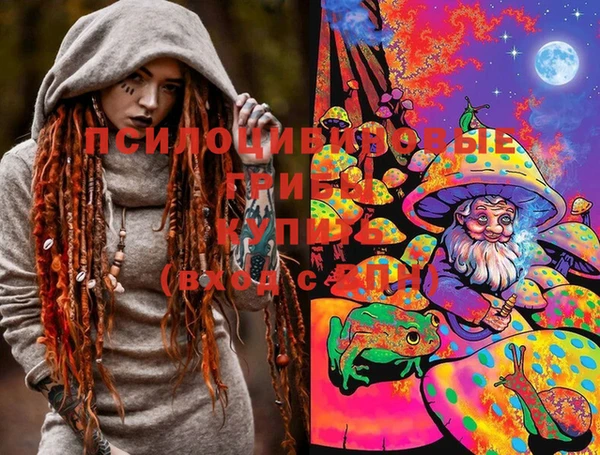 винт Алзамай