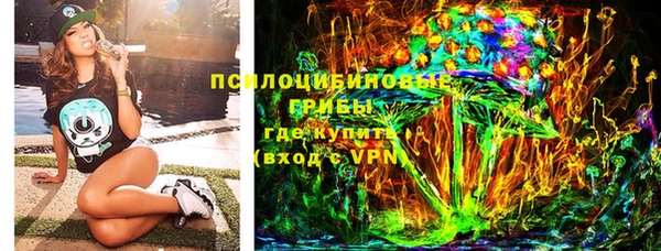 винт Алзамай