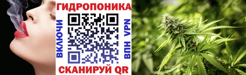 купить наркотики цена  Ардон  Бошки марихуана гибрид 